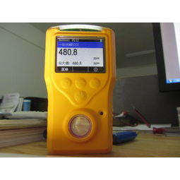 海纳环保单一可燃气体检测仪HN 101 EX 可燃气报警器厂家